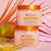 Tree Hut Exfoliante Corporal Tropical Mango  Shea Sugar Scrub, 510g                                                                                   