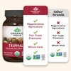 ORGANIC INDIA Triphala Herbal Supplement - Digestion & Colon Support,