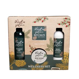 Christmas Home Spa Gift Set Apple Cinnamon Body Lotion Bath Salts Scrub Boxed