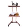 BEACCOSS 2-Tier Stainless Steel Rolling Cart with Foldable Design -