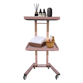 BEACCOSS 2-Tier Stainless Steel Rolling Cart with Foldable Design - Ideal for Tattoo Salons, Utility & Salon Tray Trolley with Wheels (Rose Gold)
