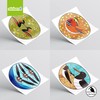 I Like Birds Static Cling Window Stickers for Glass 8