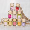 Scented Car Freshener Diffusers Air Fresheners (SELECT YOUR SCENTS):_Angel Milk