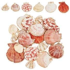 PH PandaHall Pack of 24 Shell Pendants, 6 Styles, Natural Scallop Pendants, Galvanized Shell Scallop Charms for Summer Jewellery, Bracelet Jewellery, Shell, No Gemstone