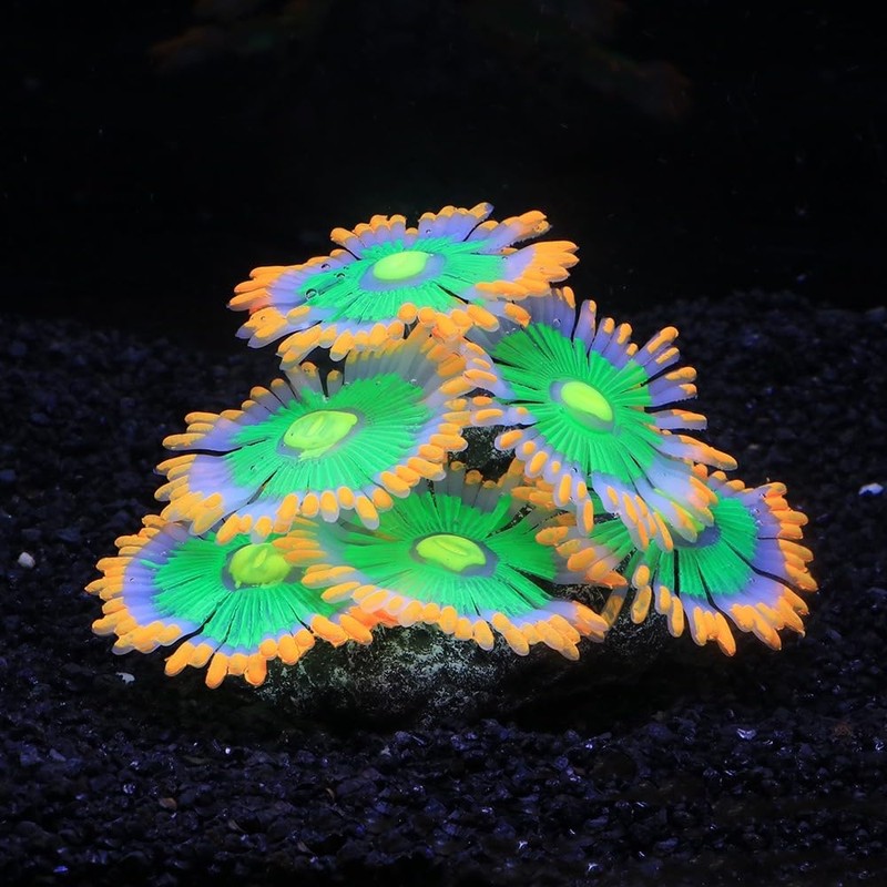 ZtohPyo Glowing Effect Soft Anemone Aquarium Fish Tank Decorations Silicone