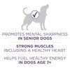 Purina ONE High Protein Dry Senior Dog Food Plus Vibrant