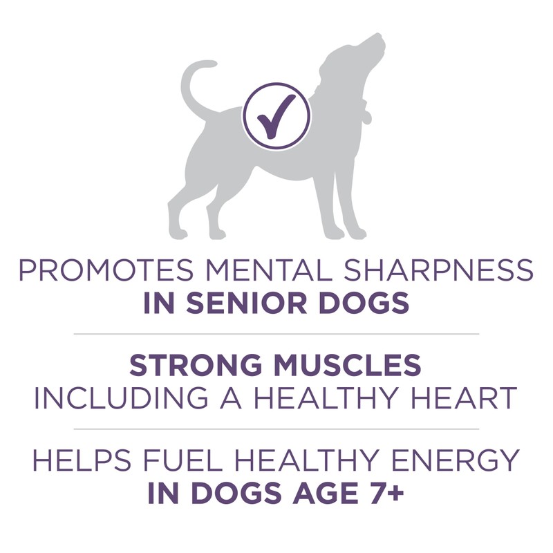 Purina ONE High Protein Dry Senior Dog Food Plus Vibrant