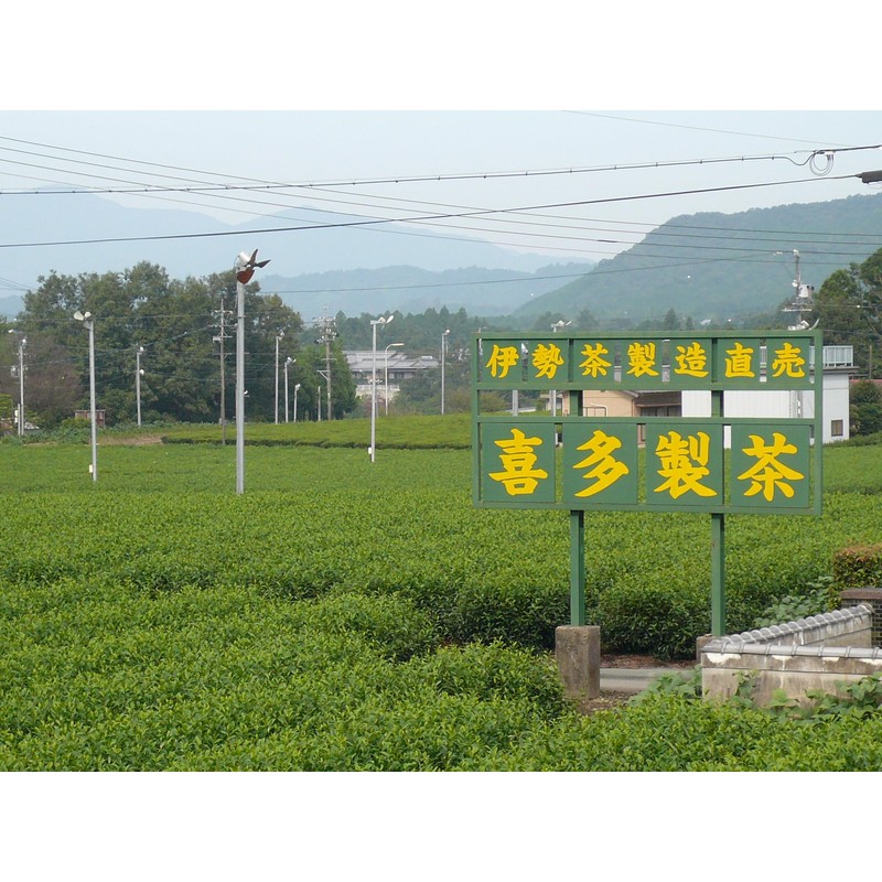 [Isecha] Kita-made Tea Kabuse-cha Tea Pack 5g 50 Pieces Green