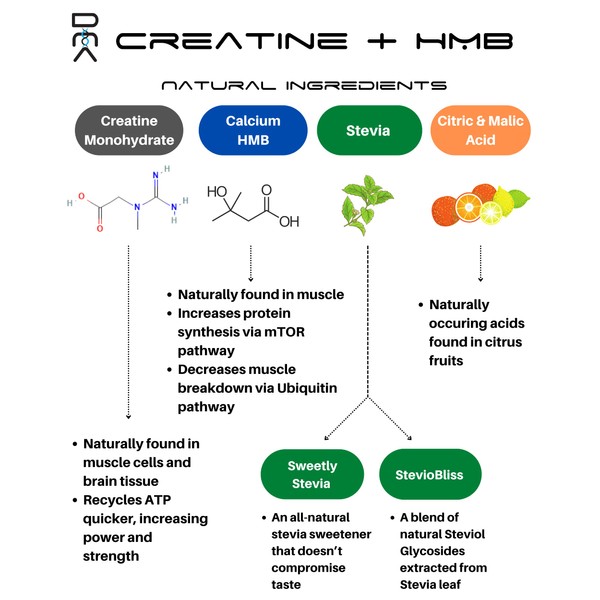 DNA Creatine HMB (Orange Mango) - Creatine + HMB for Men and Women, Increase Muscle Size and Strength, Improve Workout Recovery