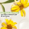 Yves Rocher Kit De Cremas Para Manos Ultra Nutritiva 75