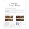 Clairol Nice 'n Easy Frost & Tip Original
