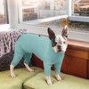 LeleTail Dog Pajamas for Small Dogs, Soft Pet Onesie with