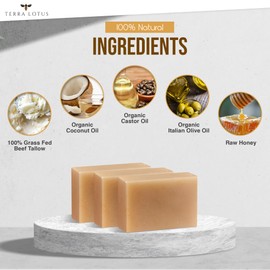Terra Lotus - Organic Tallow Soap with Organic Castor Oil & Raw Honey - Relief for Dark Spots, Acne Marks, Hydrating & Nourishing - 3 Pack (Citrus)