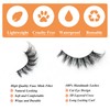 Luwigs Fluffy Cat Eye Lashes False Eyelashes Faux Mink Eyelashes