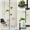 Richell Botany Hanging Pole Plate, Black, 701860 7.8 x 10.0