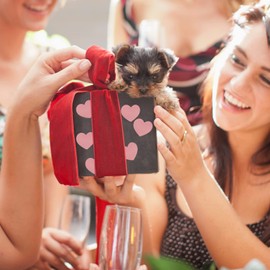 RESTALLADNWEST 500 x Pink Heart Stickers 25mm Craft Supplies Gift Bags Cards Envelopes