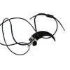 Grant Field Specimens Grizzly Bear Claw Necklace