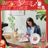 Affrolling Paint Your Own Porcelain Plates Ceramic Painting Kit Included