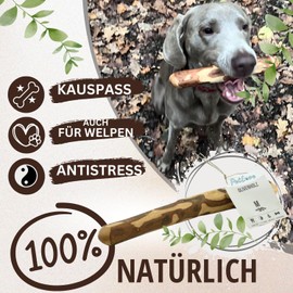 PetLove Olive Wood Chew Bone for Dogs - Natural, Non-Splintering Chewing Fun for Dog Dental Care