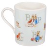 peter rabbit picture book series teemate (blue)