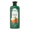 Shampoo Herbal Essences Bio:Renew 6X Aloe & Mango Protege &