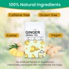 TZTZBOM Ginger Tea Bags - 100% Pure Ginger Root &