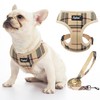 PUPTECK Soft Mesh Dog Harness Small Sized and Leash Set