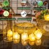 HeaHap Himalayan Salt String Lights with Switch, 20 Natural Salt