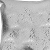 Homeroots 18" Silver Abstract Cowhide Throw Pillow