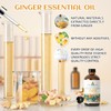 EVOKE OCCU Pine Needle Essential Oil 4 Oz, Pure Ginger