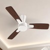 Airwit Ventilador de Techo 41", Reversible, 5 Aspas