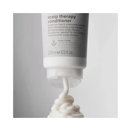 Paul Mitchell Clean Beauty Scalp Therapy Conditioner 250 ml