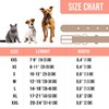 OOPSDOGGY Rolled Leather Dog Collar Reflective Roll Colars for Small