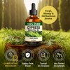 100% Pure Cypress Oil - 4 Fl Oz Cypress Essential