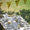 Plain Shiny Bunting Garland 3 m, Gold