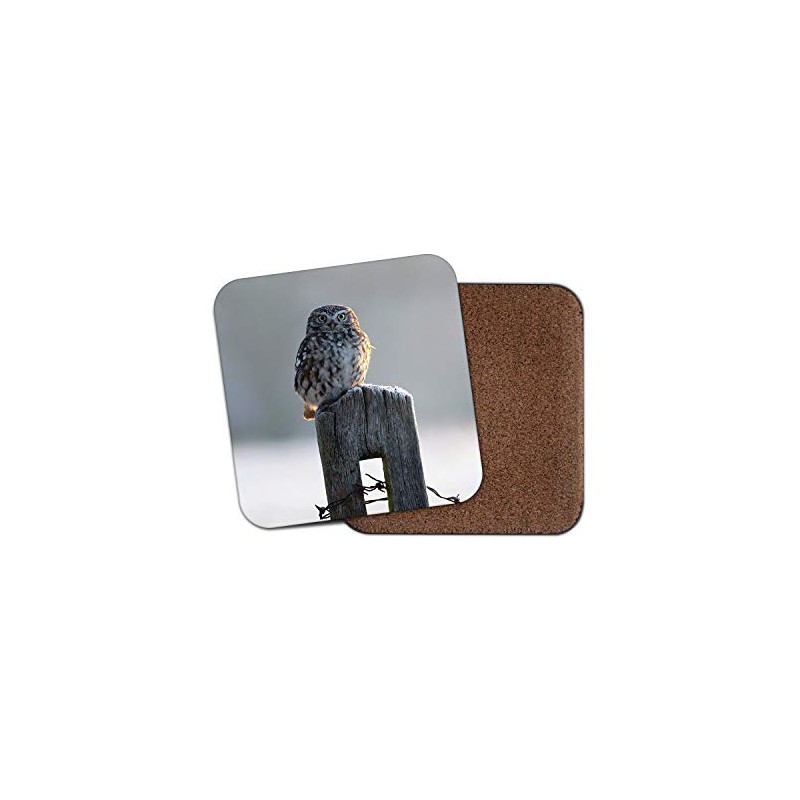 1 x Beautiful Owl Coaster - Winter Snow Bird Birds