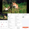 VisorTech Wildlife Camera with SIM: 4G/LTE Wildlife Camera with 2K
