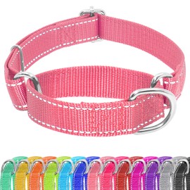Seyezo Seyezo Martingale Dog Collar, Slip Martingale Collar with No Buckle, Adjustable Pet Trainning Collar for Small Medium Large Dogs, Reflective Heavy Duty Nylon No Pull Martingale Collar, S, Pink