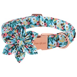 Unique style paws Dog Collar with Flower, Adjustable Dog Collar Flower Pattern, Durable Pet Collar for Small Medium Large Dogs