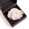ROSEMARIE SCHULZ Heidelberg Rose Box 1 Infinity Rose White Preserved