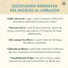 Tintura De Doble Extracción De Hongo Melena De León 50ml