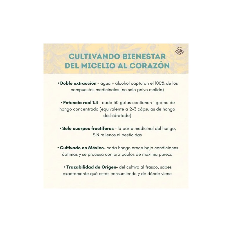 Tintura De Doble Extracción De Hongo Melena De León 50ml
