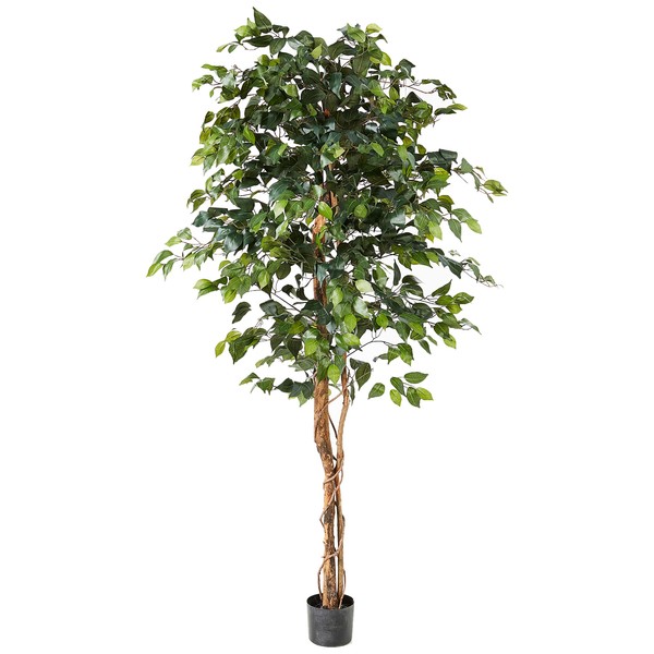 Nearly Natural 6ft. Ficus Artificial Trees, 72in, Green