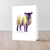 CafePress Black Face Sheep Folded Greeting Cards (10-pack) Glossy