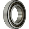 SKF Cylindrical Radial Roller Bearing, 50 ID, Bearing steel