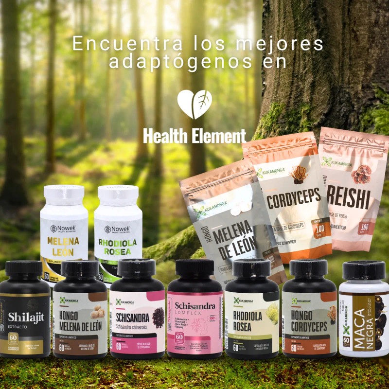 Kit Vitamina B3 Niacina + Castaño De Indias 60 Caps