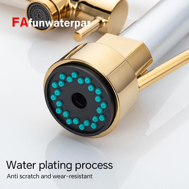 Kitchen faucet with pull-down spray, single handle double outlet commercial