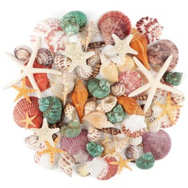 TaoQ C Sea Shells Mixed Ocean Seashells, 1.2"-3.5" Various Sizes Beach Seashells and Natural Starfish for Vase Fillers Fish Tank Beach Themed Party Home Wedding Decorations DIY Crafts