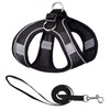 AMIR Cat Harness and Leash for Walking, Breathable Cat Leash