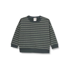 Müsli by Green Cotton Baby Boys' Striped Sweatshirt Pullover Sweater, Balance Green/Poetry Green
